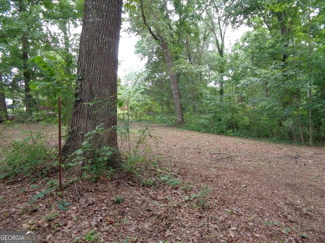 2411 Kesler Road, Carnesville, GA 30521