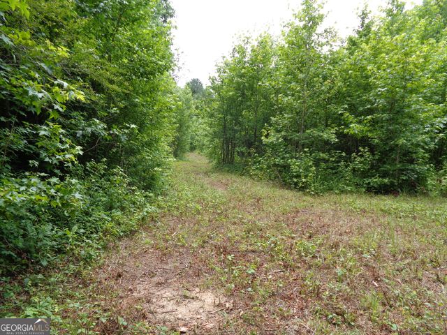 2411 Kesler Road, Carnesville, GA 30521