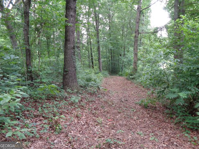 2411 Kesler Road, Carnesville, GA 30521