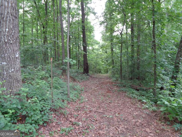 2411 Kesler Road, Carnesville, GA 30521