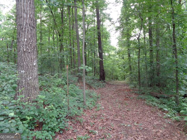 2411 Kesler Road, Carnesville, GA 30521