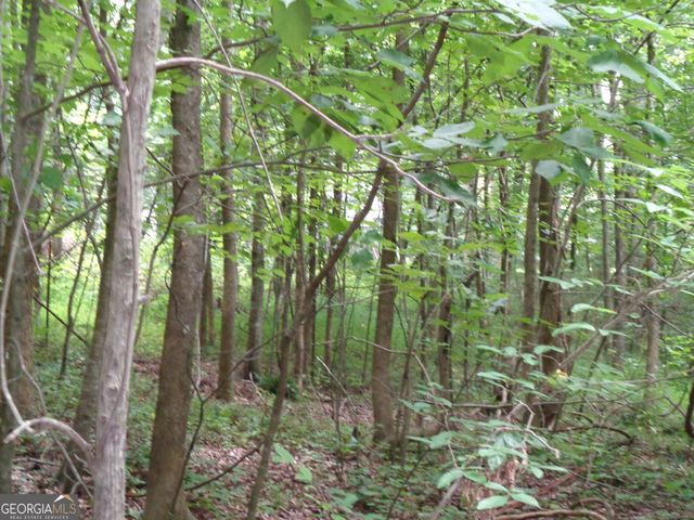 2411 Kesler Road, Carnesville, GA 30521