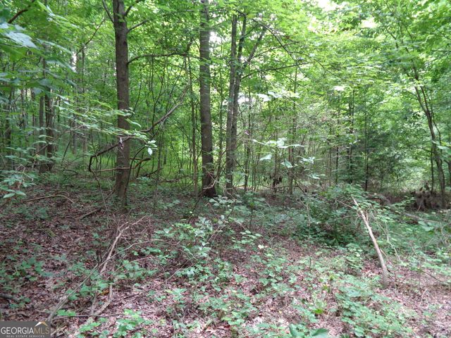 2411 Kesler Road, Carnesville, GA 30521