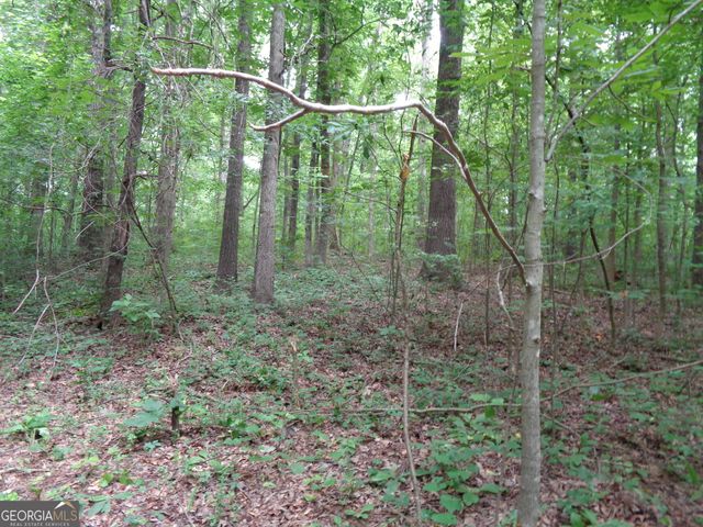 2411 Kesler Road, Carnesville, GA 30521
