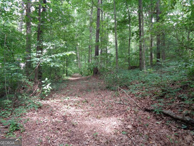 2411 Kesler Road, Carnesville, GA 30521