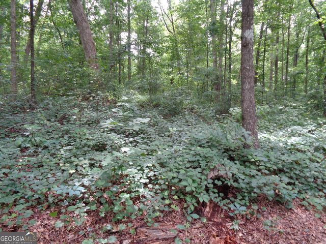 2411 Kesler Road, Carnesville, GA 30521
