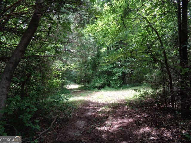 2411 Kesler Road, Carnesville, GA 30521