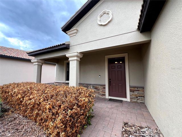 1343 PALMETTO DUNES STREET, Davenport, FL 33896