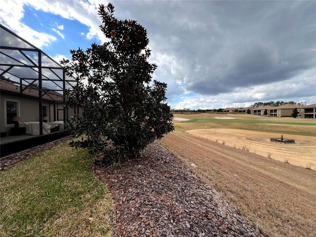 1343 PALMETTO DUNES STREET, Davenport, FL 33896