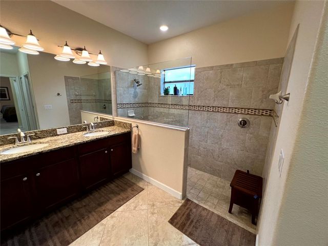 1343 PALMETTO DUNES STREET, Davenport, FL 33896