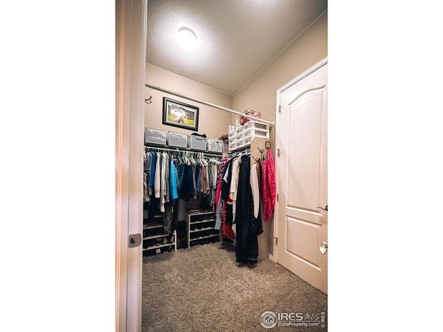 2083 Vineyard Dr, Windsor, CO 80550