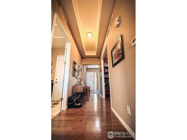 2083 Vineyard Dr, Windsor, CO 80550