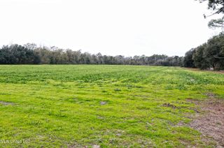 0 Ramie Farm Road, Lucedale, MS 39452