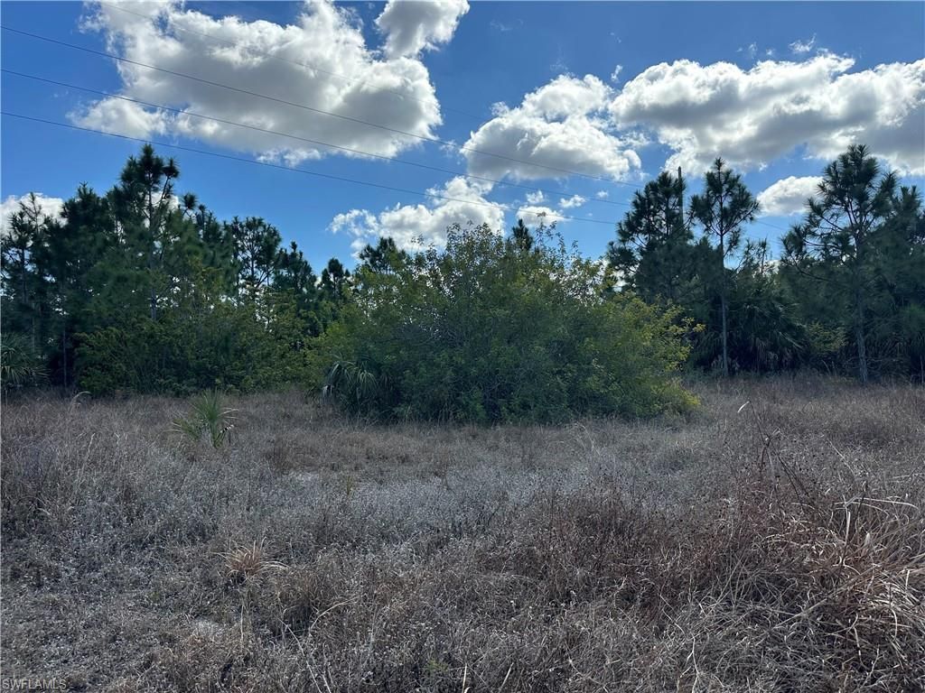 35XX Everglades BLVD N, NAPLES, FL 34120 — photo 4
