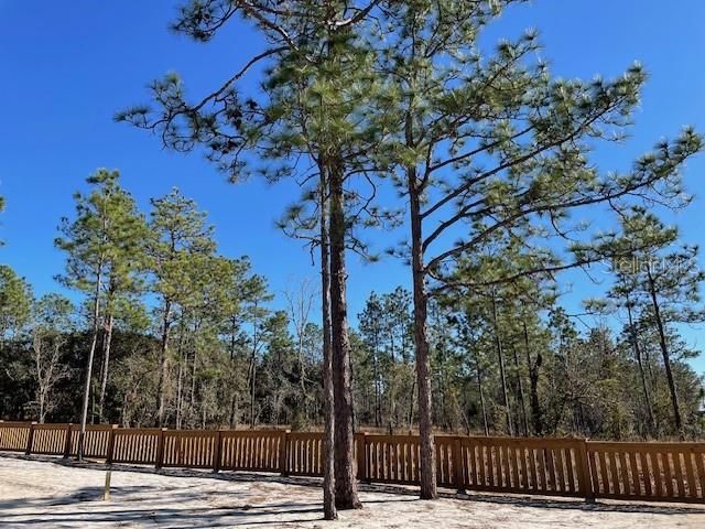 2003 SW DEERPARK HEIGHTS ROAD, Dunnellon, FL 34431