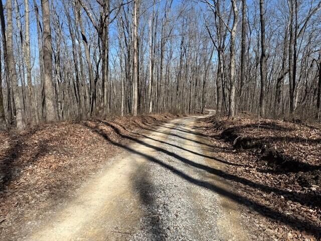7.1 Sunbeam Lake Loop Road 7.1, Dunlap, TN 37327