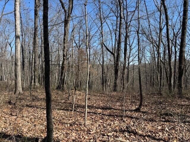 7.1 Sunbeam Lake Loop Road 7.1, Dunlap, TN 37327