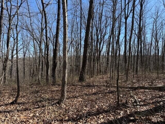 7.1 Sunbeam Lake Loop Road 7.1, Dunlap, TN 37327