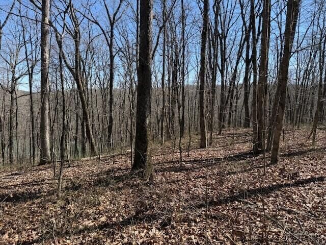 7.1 Sunbeam Lake Loop Road 7.1, Dunlap, TN 37327