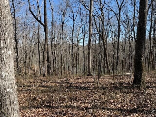 7.1 Sunbeam Lake Loop Road 7.1, Dunlap, TN 37327