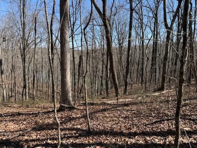 7.1 Sunbeam Lake Loop Road 7.1, Dunlap, TN 37327
