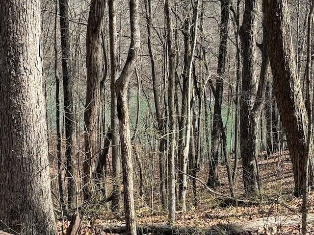 7.1 Sunbeam Lake Loop Road 7.1, Dunlap, TN 37327