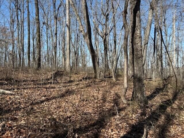 7.1 Sunbeam Lake Loop Road 7.1, Dunlap, TN 37327