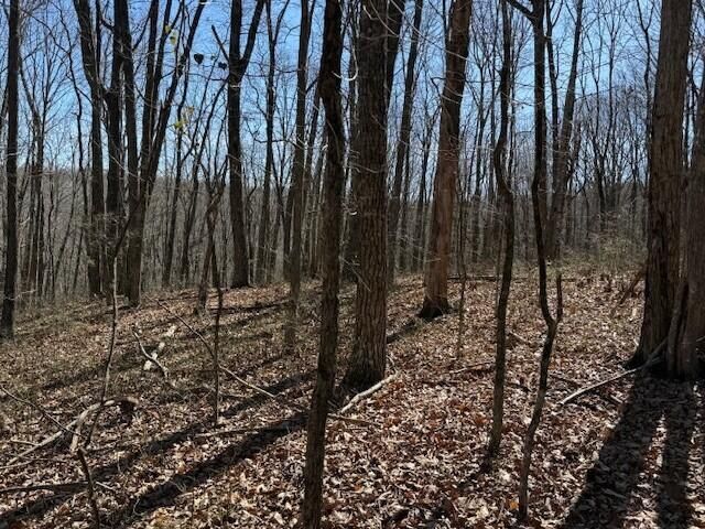 7.1 Sunbeam Lake Loop Road 7.1, Dunlap, TN 37327