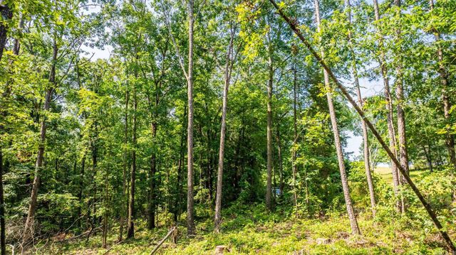 Tract 2 Harmony Mountain Road, Clinton, AR 72031