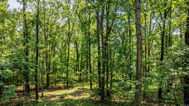 Tract 2 Harmony Mountain Road, Clinton, AR 72031