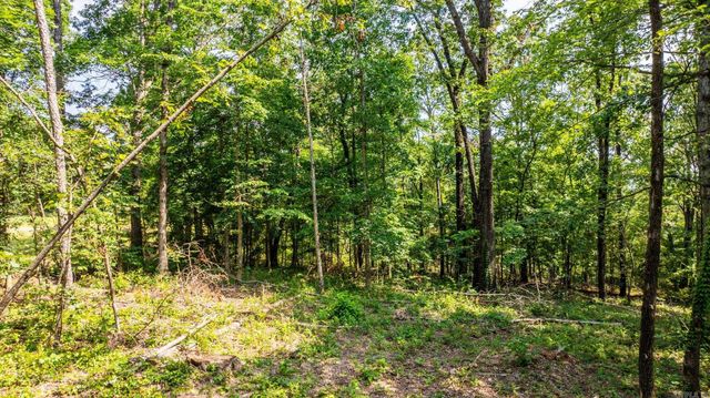 Tract 2 Harmony Mountain Road, Clinton, AR 72031