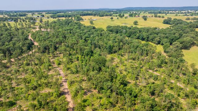 Tract 2 Harmony Mountain Road, Clinton, AR 72031