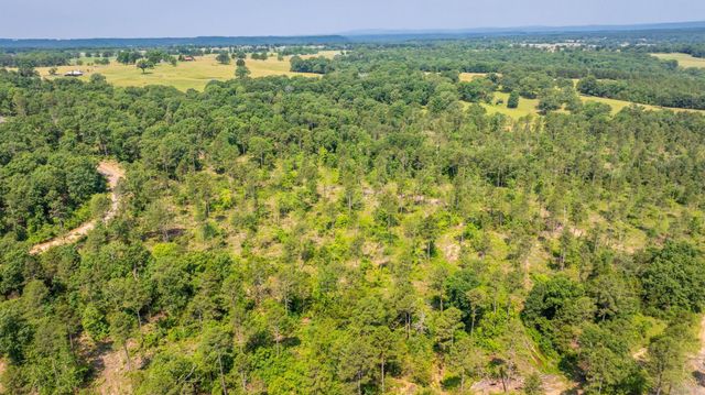Tract 2 Harmony Mountain Road, Clinton, AR 72031