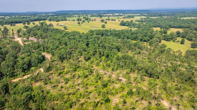 Tract 2 Harmony Mountain Road, Clinton, AR 72031