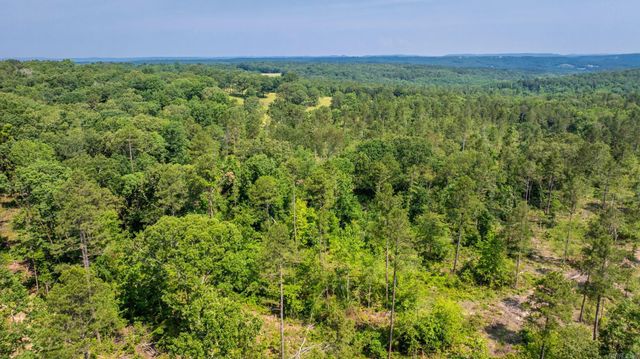 Tract 2 Harmony Mountain Road, Clinton, AR 72031
