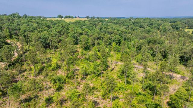 Tract 2 Harmony Mountain Road, Clinton, AR 72031