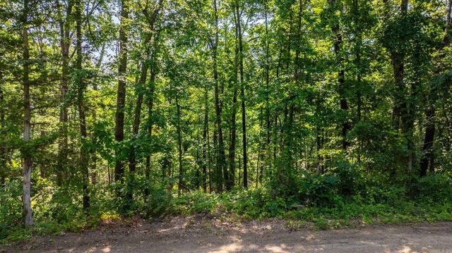 Tract 2 Harmony Mountain Road, Clinton, AR 72031