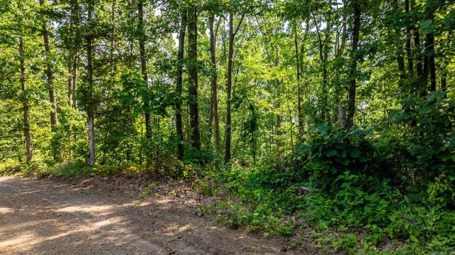 Tract 2 Harmony Mountain Road, Clinton, AR 72031