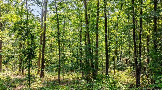 Tract 2 Harmony Mountain Road, Clinton, AR 72031