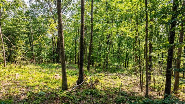 Tract 2 Harmony Mountain Road, Clinton, AR 72031