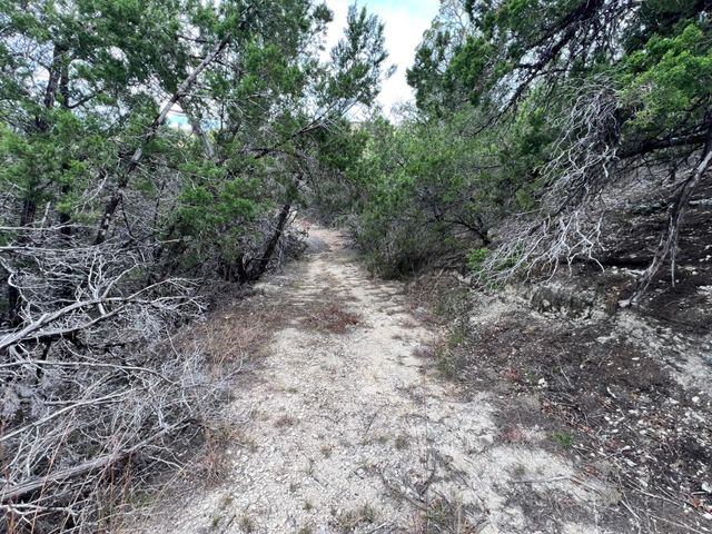 TBD E Reed Parks RD, Jonestown, TX 78645