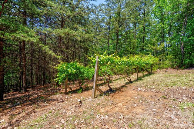 389 Woodgate Drive, Bostic, NC 28018