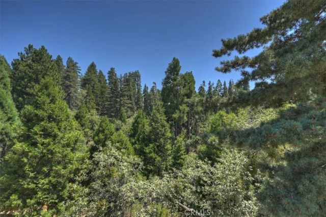 31095 Old City Creek Rd, Running Springs, CA 92382