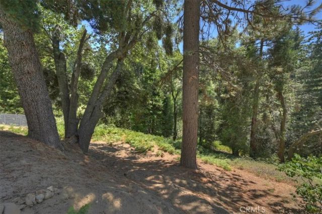31095 Old City Creek Rd, Running Springs, CA 92382