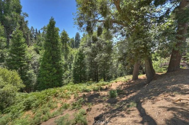 31095 Old City Creek Rd, Running Springs, CA 92382