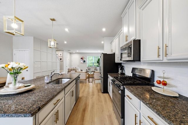 14819 PROMENADE PARKWAY, Odessa, FL 33556