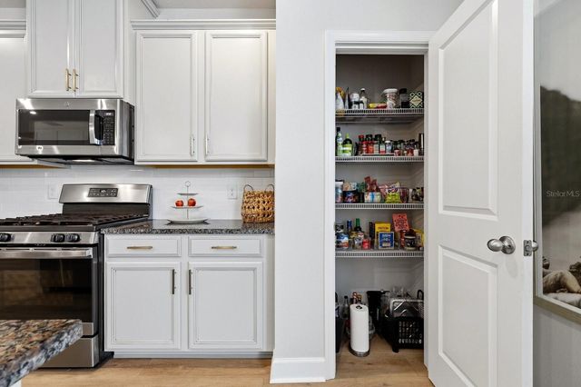 14819 PROMENADE PARKWAY, Odessa, FL 33556