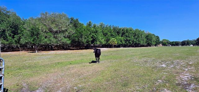 0 CONNELL ROAD, Plant City, FL 33567