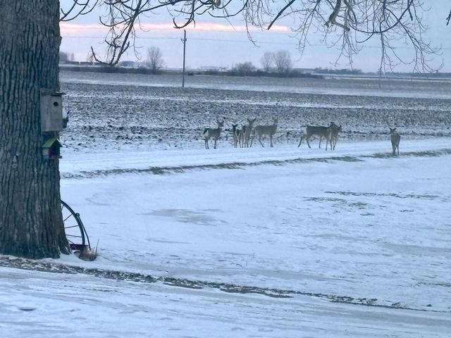 15304 County Road 11, Herman, MN 56248