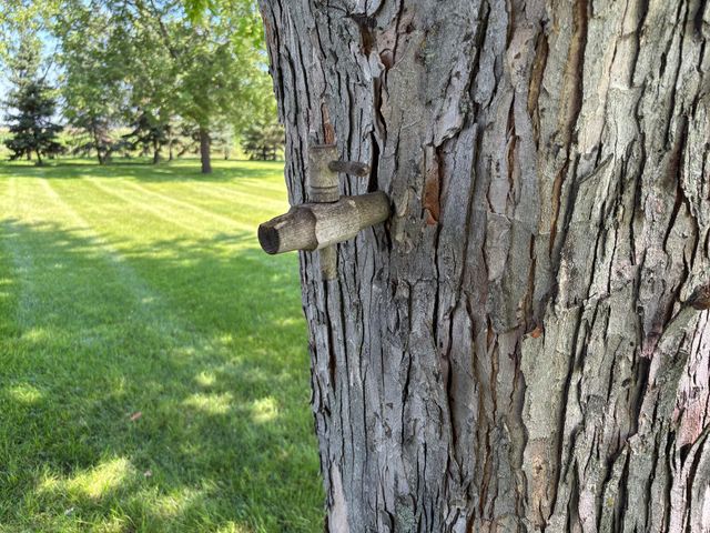 15304 County Road 11, Herman, MN 56248